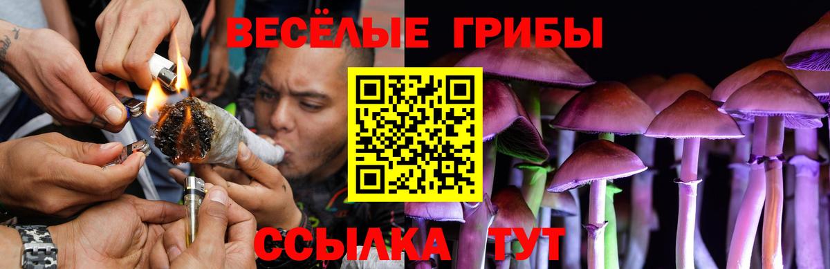 Псилоцибиновые грибы ЛСД Белорецк